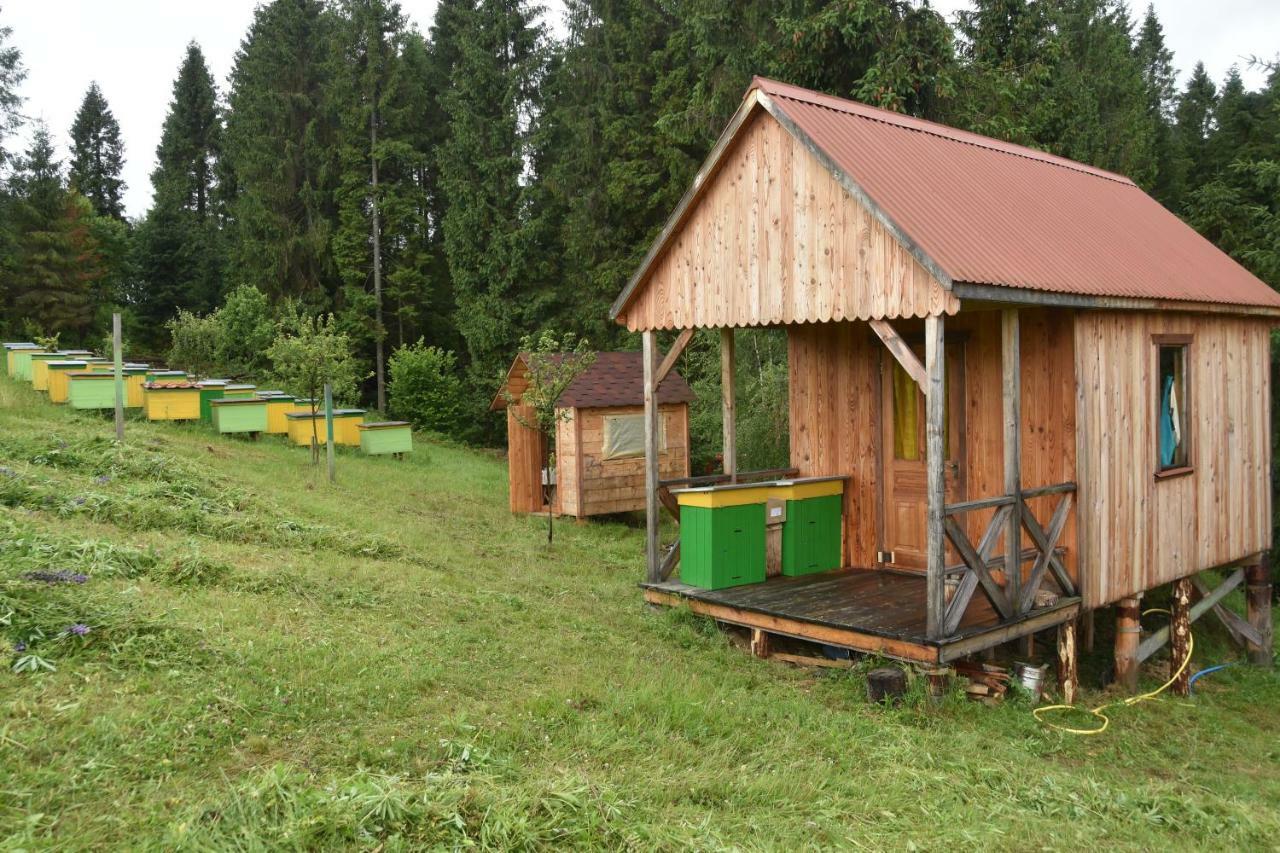 Зубровиця Bukovinka Exterior foto